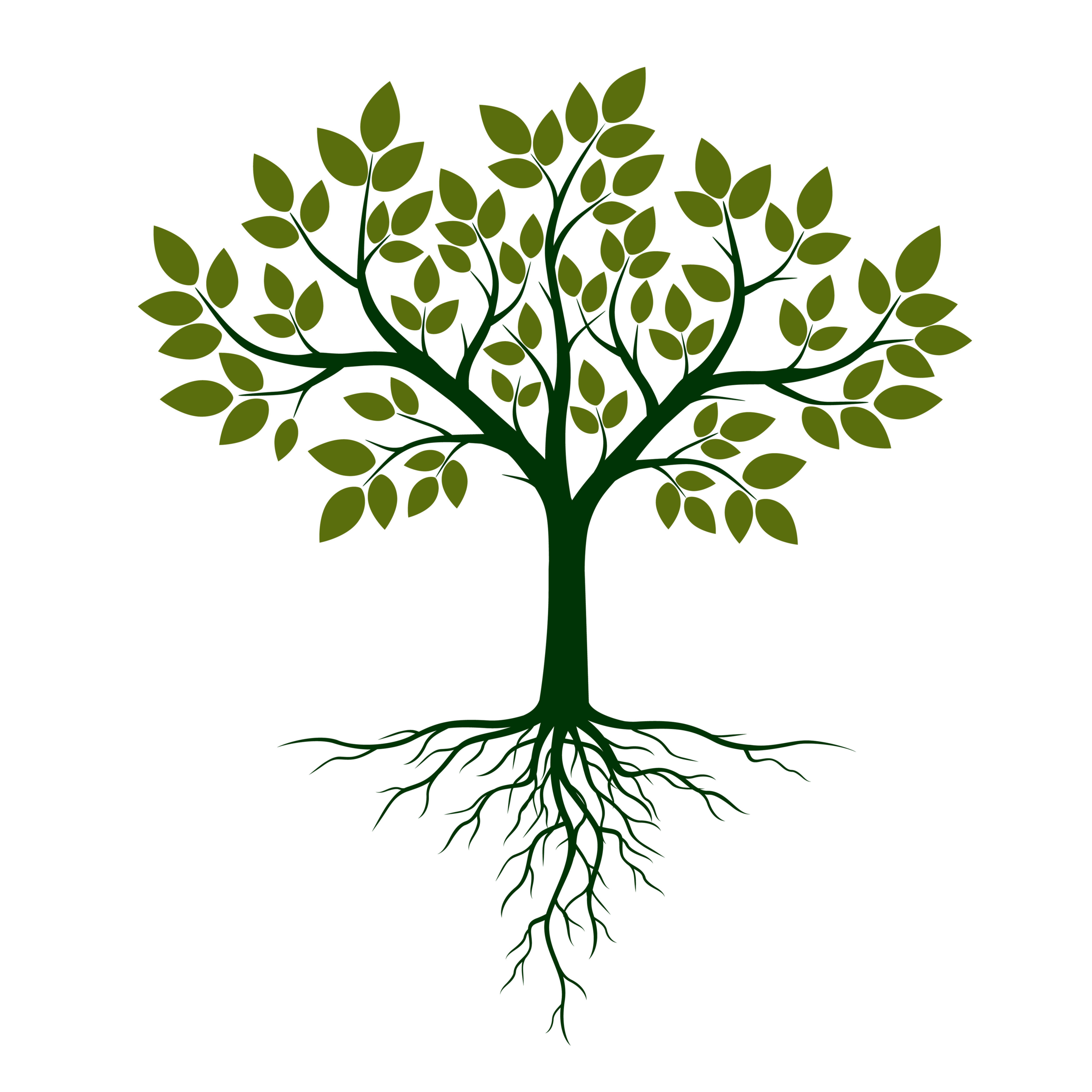 Trees and Subsidence at This Time of Year Markham Brokers